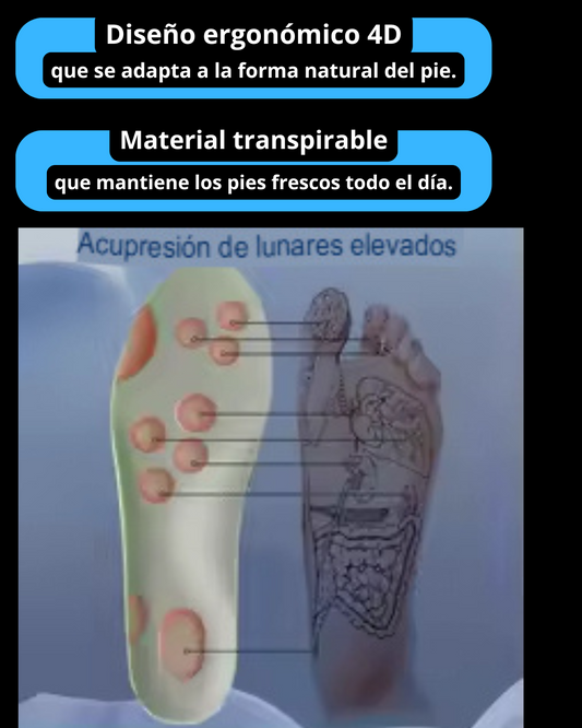 PLANTILLA 4d DESPIDETE DEL DOLOR